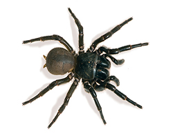 Thumbnail Image 1